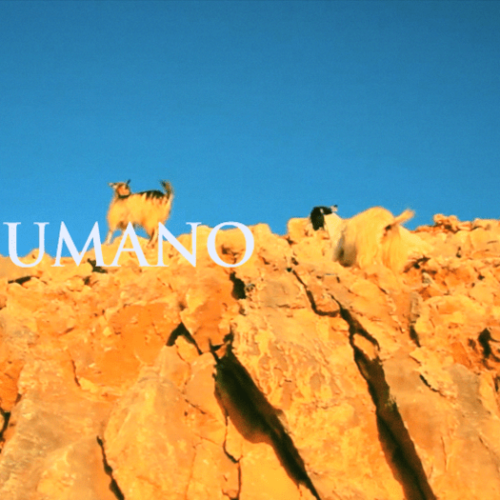 Humano demasadio humano - Short moovie by Arturo Prins