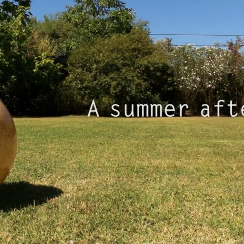 Una tarde de verano - Short movie by Arturo Prins